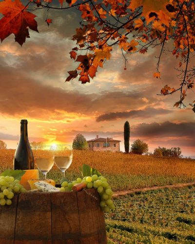 dyllic Chianti landscape in Italy, featuring rolling vineyards and a bottle of Chianti wine set against the picturesque backdrop of the Tuscan countryside.