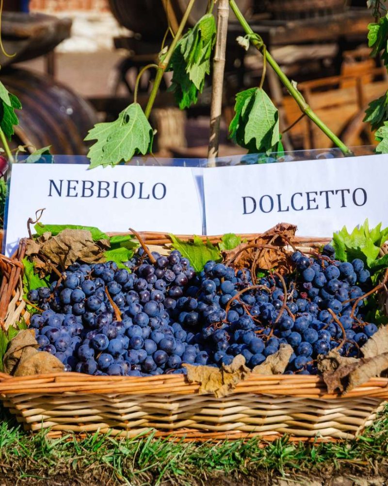 Bottles and grapes of Nebbiolo and Dolcetto wine, showcasing the rich colors and diversity of these Italian varietals.