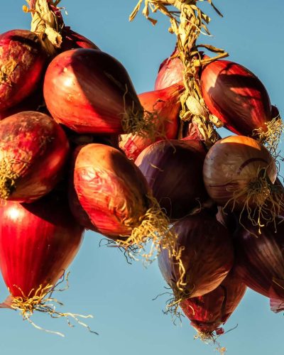Close-up of vibrant red onions from Tropea, Italy, showcasing their unique color and distinct sweetness.