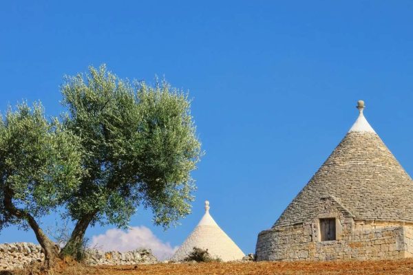 Scenic view of Trulli houses and an olive tree in Puglia, Italy, capturing the unique charm of traditional Apulian architecture and lush landscapes.